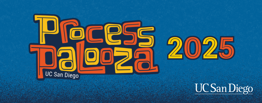 Process Palooza 2025